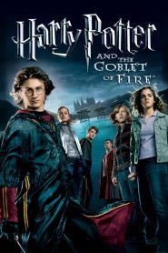 Harry Potter and the Goblet of Fire (2005) BluRay Dual Audio Hindi Eng 720p | 1080p Full Movie Download – FlixBD