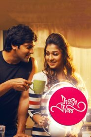 Raja Rani (2013) Tamil SS Web-DL Full Movie Download Gdrive Link – FlixBD