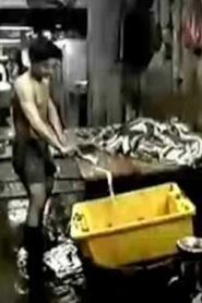 Kowloon Walled City (1988) 1080p 720p 480p google drive Full movie Download Watch and torrent |