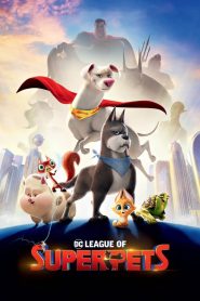 DC League of Super-Pets (2022) 1080p 720p 480p google drive Full movie Download