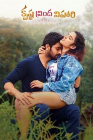 Krishna Vrinda Vihari (2022) 1080p 720p 480p google drive Full movie Download