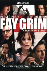 Fay Grim (2006) 1080p 720p 480p google drive Full movie Download