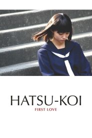First Love (2006) 1080p 720p 480p google drive Full movie Download