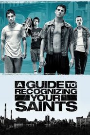 A Guide to Recognizing Your Saints (2006) 1080p 720p 480p google drive Full movie Download