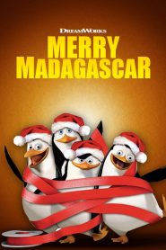 Merry Madagascar (2009) 1080p 720p 480p google drive Full movie Download