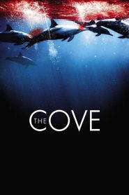 The Cove (2009) 1080p 720p 480p google drive Full movie Download