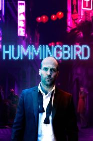 Hummingbird (2013) 1080p 720p 480p google drive Full movie Download