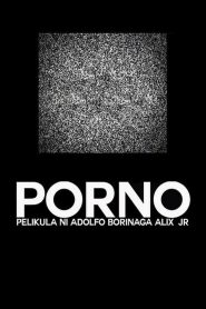 Porno (2013) 1080p 720p 480p google drive Full movie Download