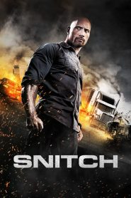 Snitch (2013) 1080p 720p 480p google drive Full movie Download