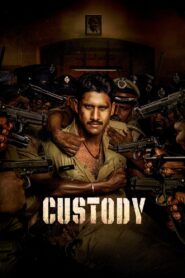 Custody (2023) 1080p 720p 480p google drive Full movie Download