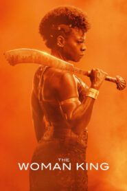 The Woman King (2022) 1080p 720p 480p google drive Full movie Download and watch Online