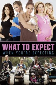 What to Expect When You’re Expecting (2012) 1080p 720p 480p google drive Full movie Download