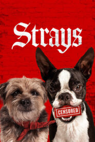 Strays (2023) 1080p 720p 480p google drive Full movie Download and watch Online