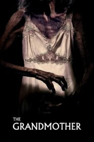 La Abuela (The Grandmother) (2022) 1080p 720p 480p google drive Full movie Download and watch Online