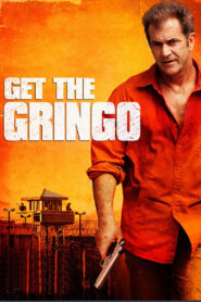 Get the Gringo (2012) 1080p 720p 480p google drive Full movie Download