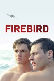 Firebird (2021) 1080p 720p 480p google drive Full movie Download and watch Online