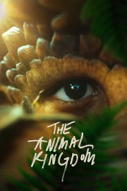 The Animal Kingdom (2023) Full Movie Download | Direct Download