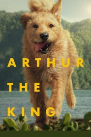 Arthur the King (2024) Full Movie Download | Direct Download