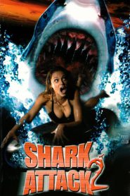 Shark Attack 2 (2000) Full Movie Download | Flixbd