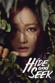 Hide and Seek (2018) S01 Web Series AMZN WebRip Dual Audio Hindi Korean All Episodes 480p | 720p Download – FlixBD
